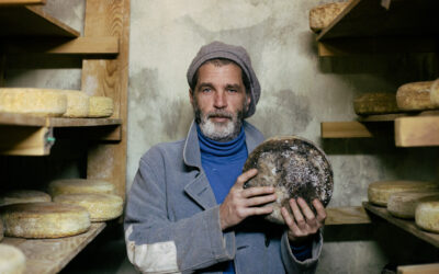 A Culinary Journey Through Croatia