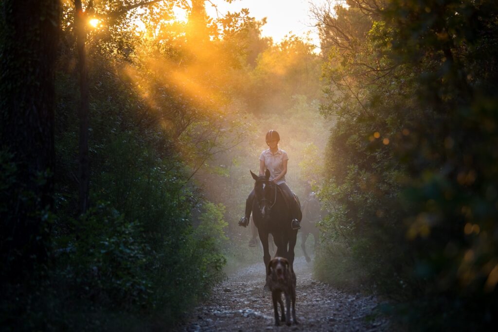 Riding in Croatia
